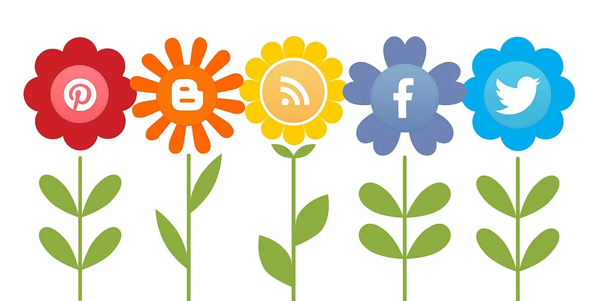 Illustration de la croissance sur les réseaux sociaux, logos de plateformes représentés en fleurs