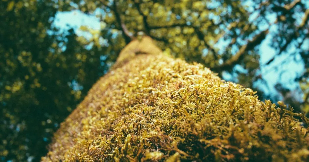 Cloudflare révolutionne le crawling : un site web entier exploré via une unique requête API