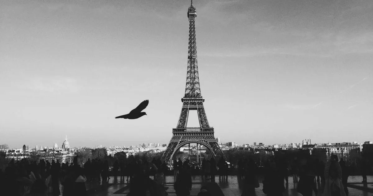 Le marketing d influence en France : pratiques, plateformes clés et profils des créateurs