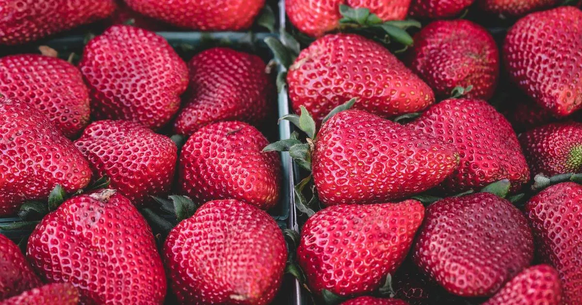 Le Photo Dump : L’art Subtil de Cultiver une Image Décontractée sur Instagram
