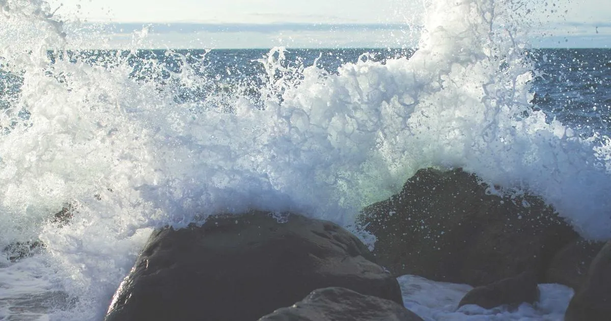 Mentions légales